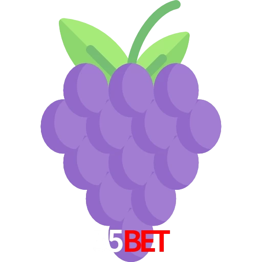 55Bet